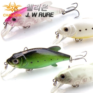 챌리온- J. W루어