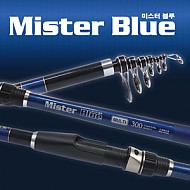 미스터 블루